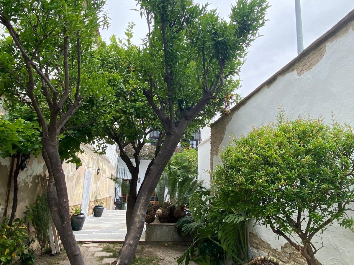 Casa Palacio Anima ヘレス エクステリア 写真
